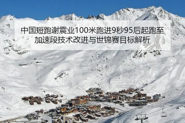zhong-guo-duan-pao-xie-zhen-ye-mi-pao-jin-miao-hou-qi-pao-zhi-jia-su-duan-ji-shu-gai-jin-yu-shi-jin-sai-mu-biao-jie-xi-1-856.jpg
